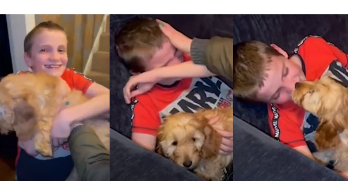 Oscar, de 13 anos, se emociona ao conhecer sua nova cadela de estimação