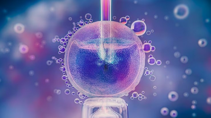Diferenças entre reprodução assistida e fertilização in vitro