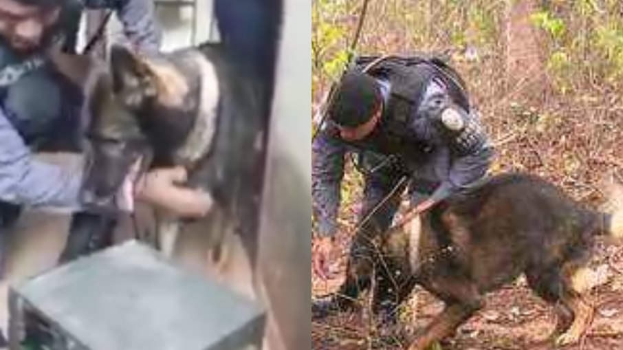 Messi em operação policial Messi em operação policial