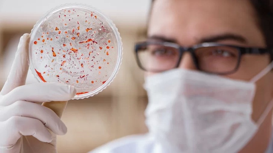 A USP concentrou-se em criar modelos matemáticos para entender a propagação da variante genética