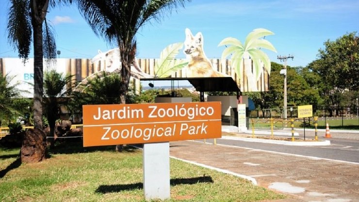 GDF confirma caso de gripe aviária no Zoológico de Brasília