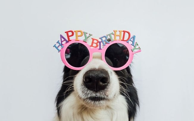 29 frases para celebrar o aniversário do seu pet e conquistar likes