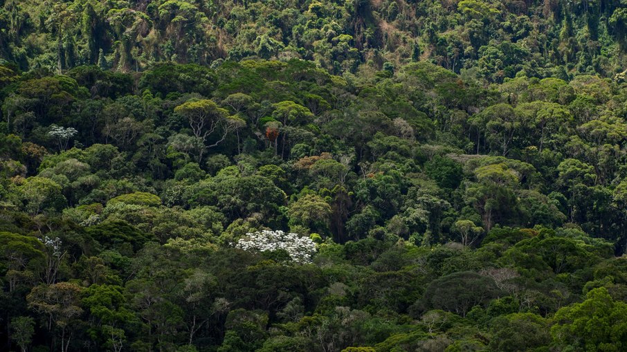 Reserva em Vargem Alta (ES) Reserva em Vargem Alta (ES)