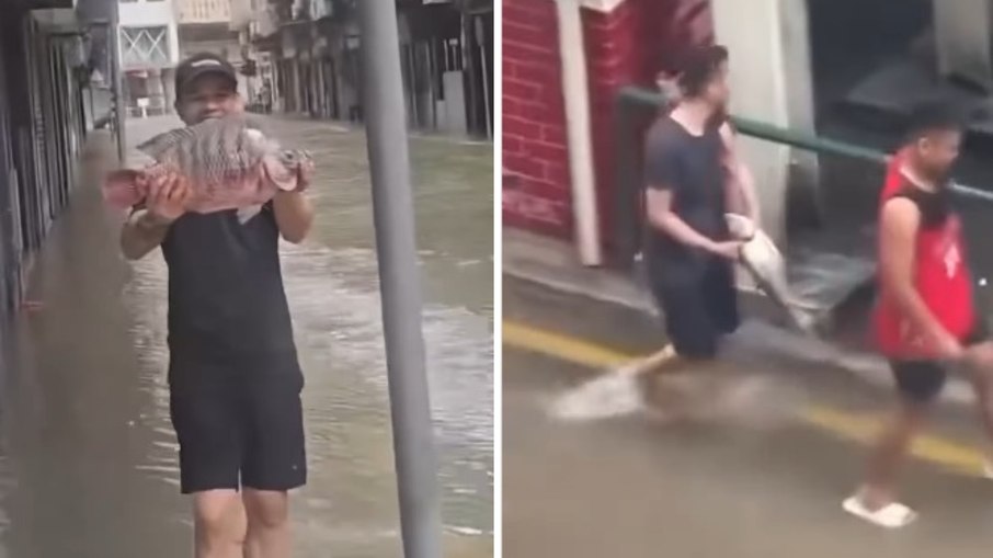 Peixes tomam as ruas de Macau após passagem do supertufão Ragasa Peixes tomam as ruas de Macau após passagem do supertufão Ragasa