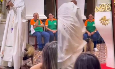 Cachorro caramelo interrompe missa ao puxar batina de padre