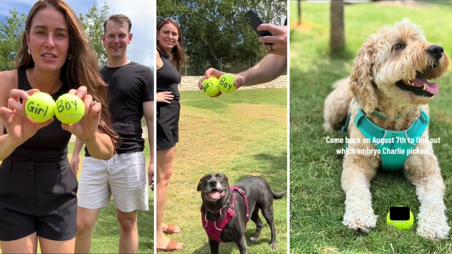 Serena e Jacob decidiram que seus cães ajudariam na escolha do sexo de seu primeiro filho