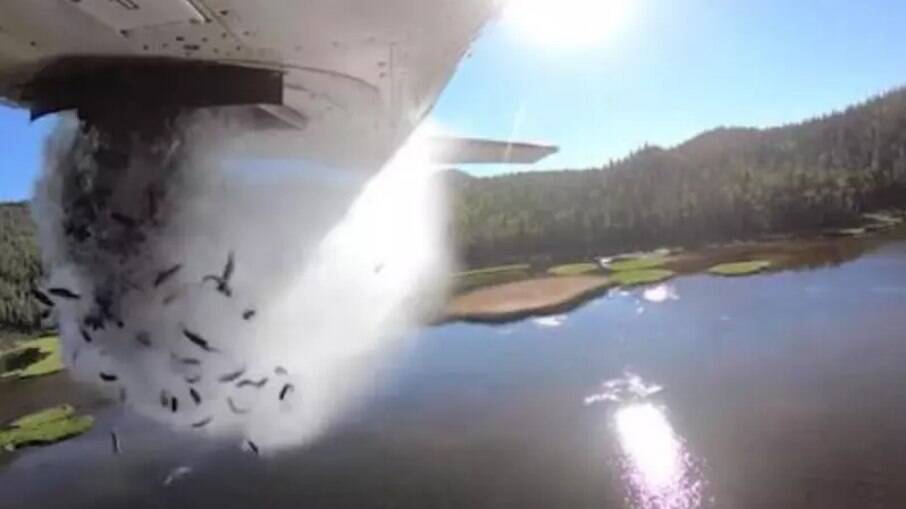 Trutas caem em cascata do fundo de um avião voando baixo sobre um lago montanhoso de Utah