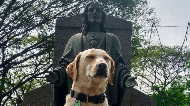 Spike: o único animal sepultado no Cemitério da Consolação