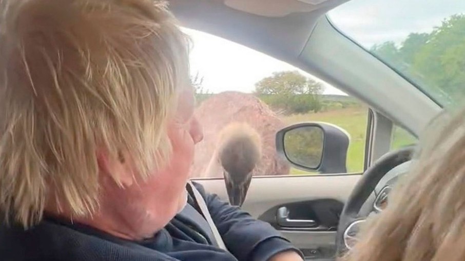 Boris Johnson é mordido por avestruz nos EUA Boris Johnson é mordido por avestruz nos EUA
