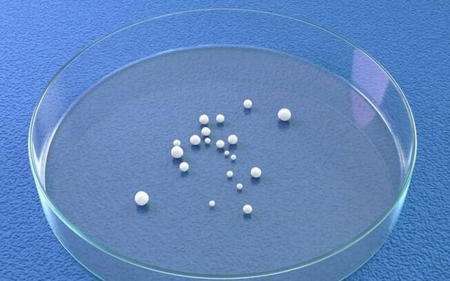 Cientistas criam miniórgãos e revolucionam o conhecimento sobre a covid-19 Cientistas criam miniórgãos e revolucionam o conhecimento sobre a covid-19