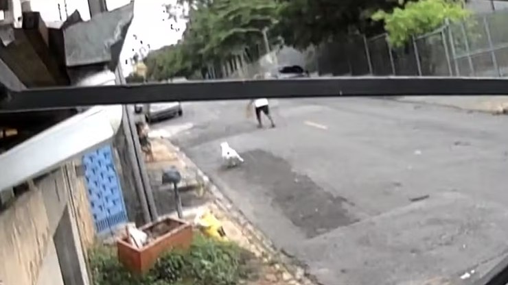 Pitbull%20escapa%20e%20ataca%20crian%C3%A7a%20de%204%20anos%20em%20Campinas%20(SP)