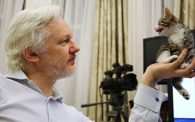 O destino do animal de estimação de Assange movimentou as redes sociais após a prisão do ativista