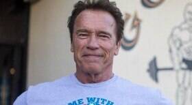 Schwarzenegger se envolve em acidente e uma mulher fica ferida