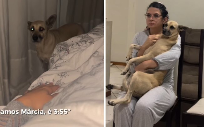 9l0m3mauf6jy1hlsohtbrefm1