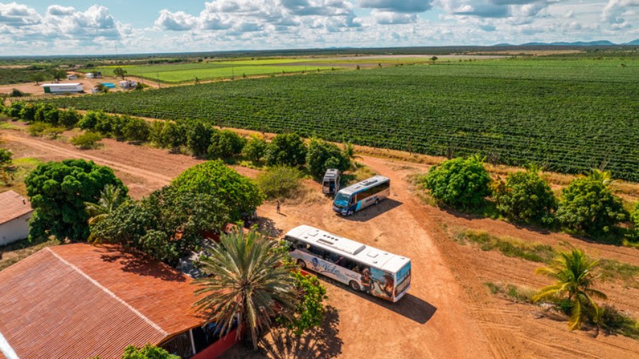 A região de Petrolina é conhecida pela produção de vinhos tropiciais