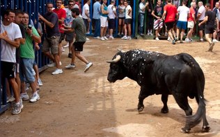 Turismo turbina corrida de touros e gera mortes na Espanha - 08/09/2015 -  UOL Nossa