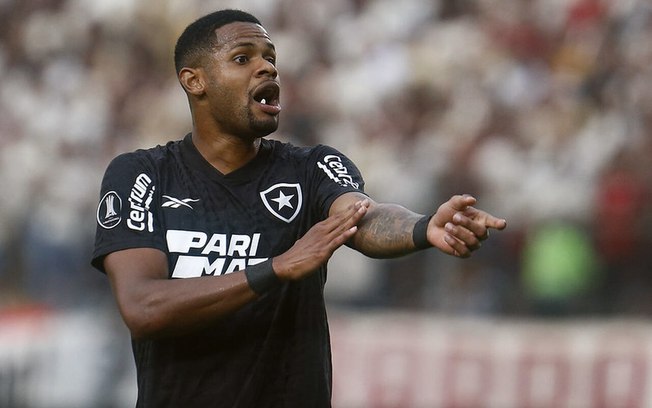 Júnior Santos é o principal destaque do Botafogo na temporada