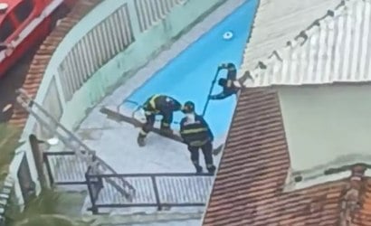 Vídeo: bombeiros pulam muro para resgatar rottweiler 