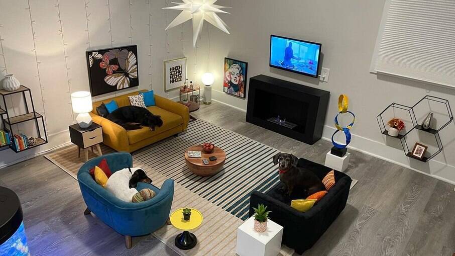 Médico transforma cômodo inteiro em uma sala de estar para seus cachorros 