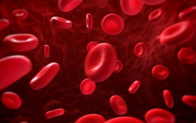 Pessoas com hemofilia possuem deficiência do fator VIII da coagulação