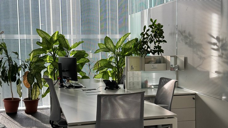 %C3%89verdade%20que%20plantas%20dentro%20de%20casa%20purificam%20o%20ar%3F