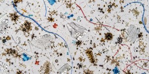Microplásticos estão ligados à infertilidade, aponta estudo