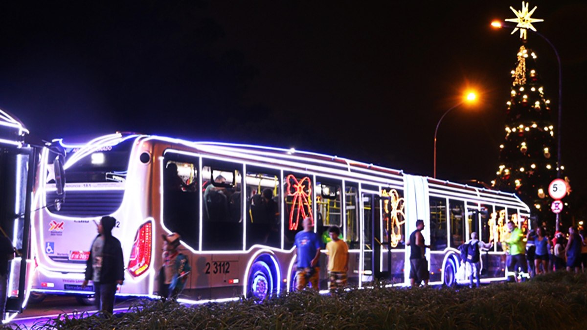 São Paulo tem viagens grátis em ônibus para ver a árvore do Ibirapuera