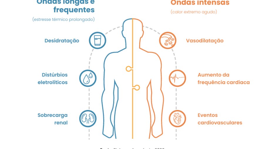 Mecanismos de impacto das ondas de calor na saúde