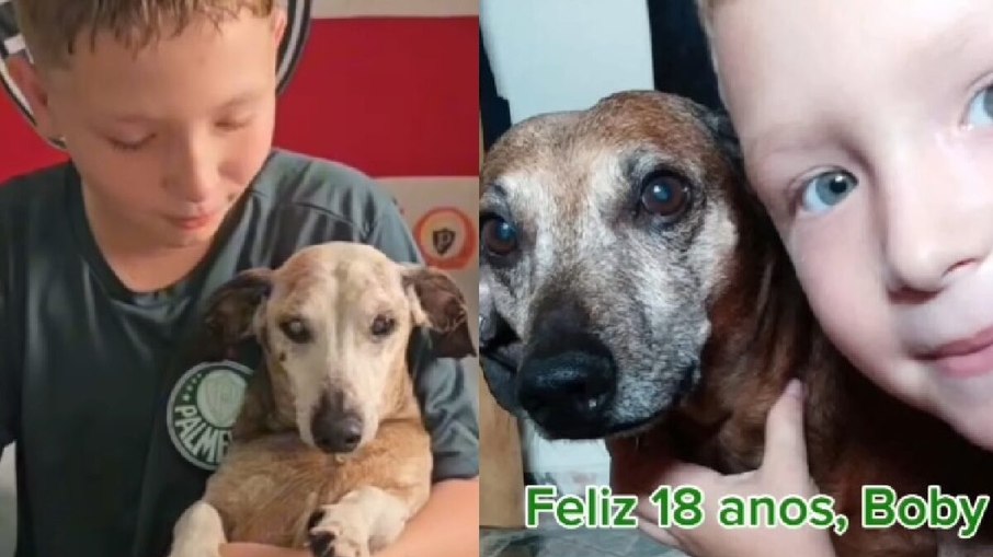 Garoto chora ao celebrar 18 anos de cão salsichinha Garoto chora ao celebrar 18 anos de cão salsichinha