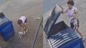 Vídeo: mulher joga filhotes de cachorro na lixeira e gera revolta