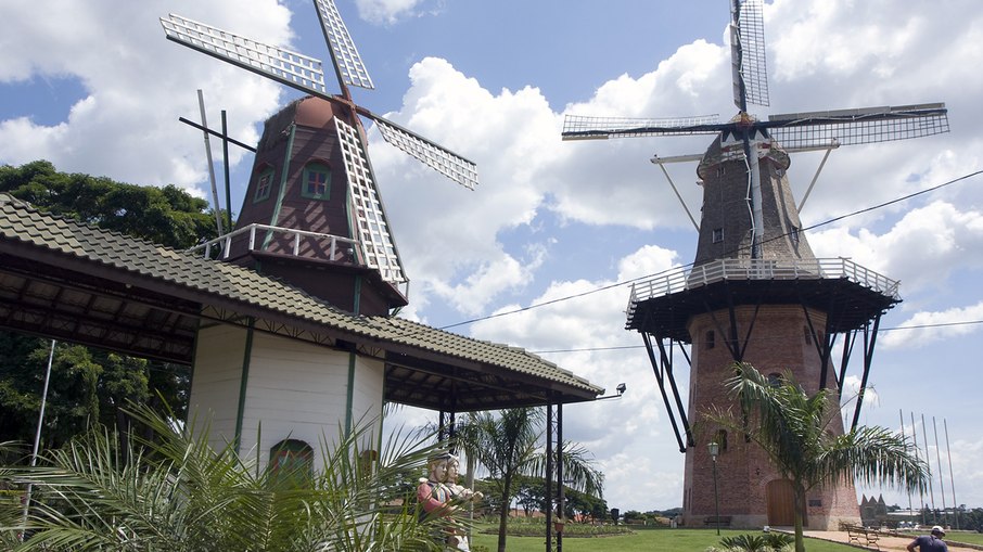 Holambra é o município que mais exporta flores na América Latina