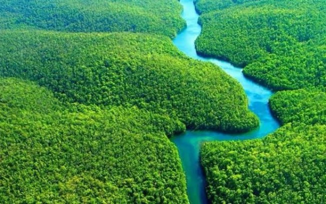 Brasil terá primeiro projeto do mundo na metodologia VM0048