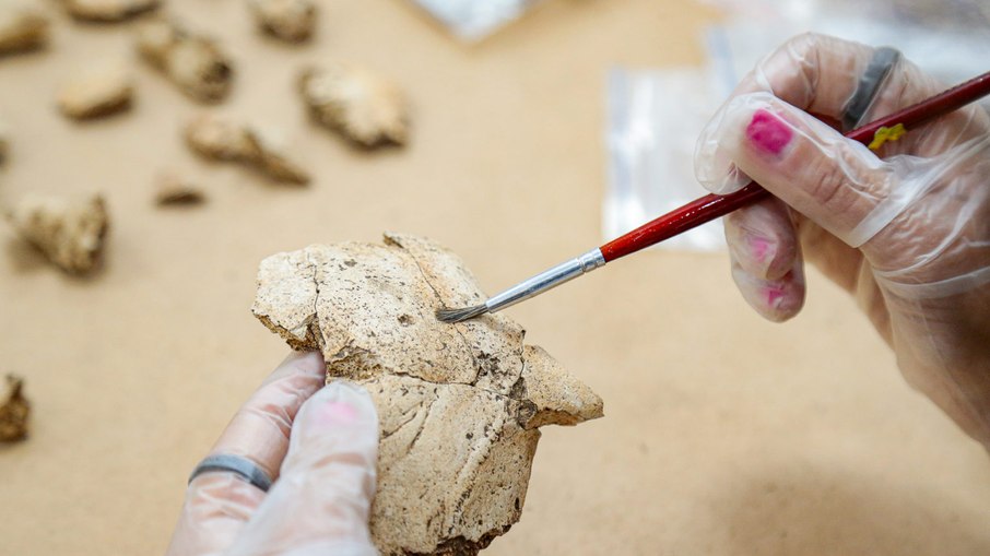 Limpeza de fragmentos de ossos