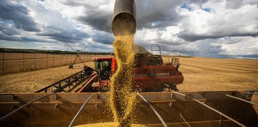 Agro brasileiro está em alerta máximo com taxação dos EUA