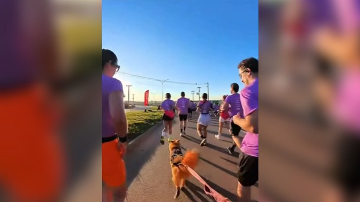 Atleta conta com ajuda especial de sua pet para completar corrida