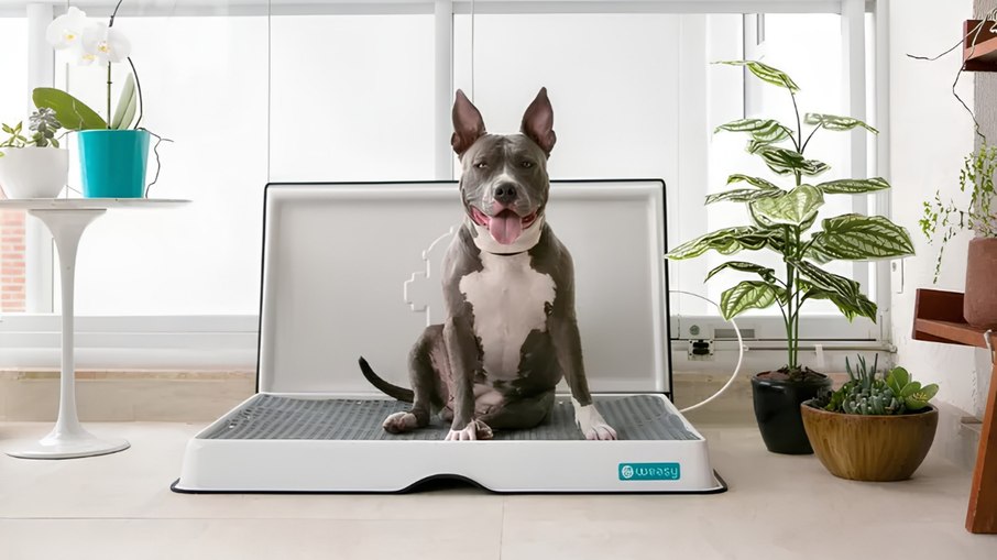 Banheiro exclusivo para cães e gatos