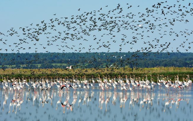 Portugal: o melhor do Estuário do Tejo