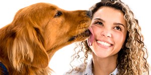 Zoonoses: como evitar que o cão nos transmita doenças?