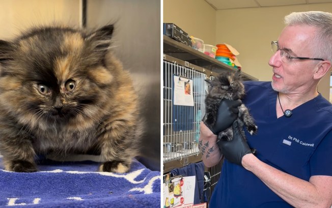 9qzhvwxxzxk2td7vlm8budzgo