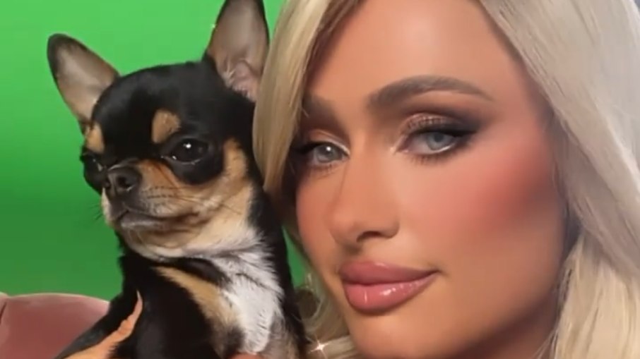 Diamond Baby, cadela de estimação de Paris Hilton está desaparecida