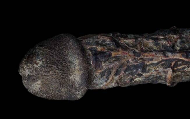 O pênis mumificado tem cerca de 200 anos e está exposto em um museu de excentricidades de Londres