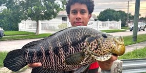 Adolescente pesca raridade e bate recorde: "Pensei ser tucunaré"