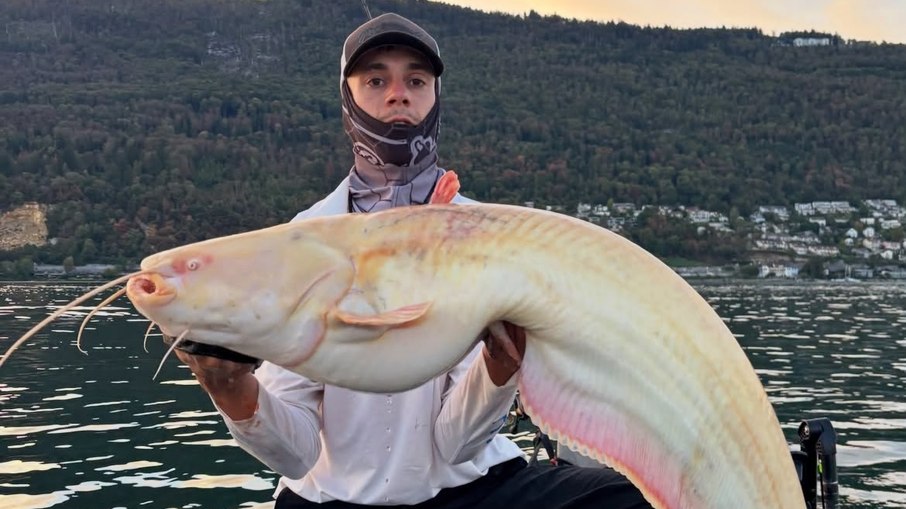 Noah Bernd captura bagre-europeu albino na França Noah Bernd captura bagre-europeu albino na França