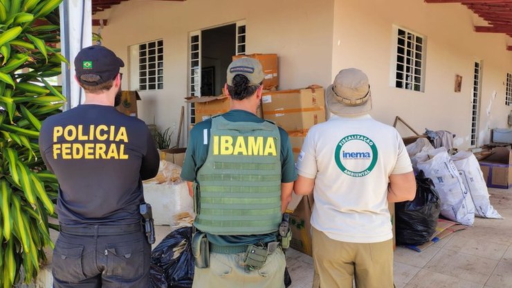 Operação apreende 1,5 tonelada de barbatanas de tubarão na Bahia