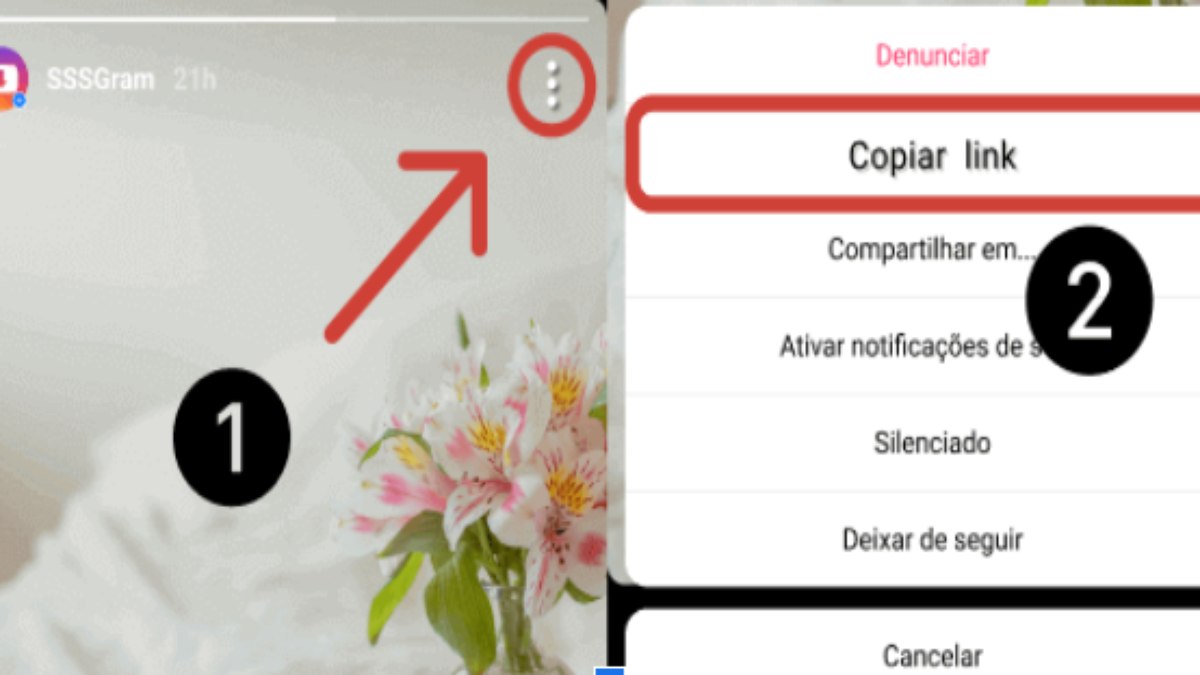 Como Download Vídeos do Instagram Online Com SSSGram