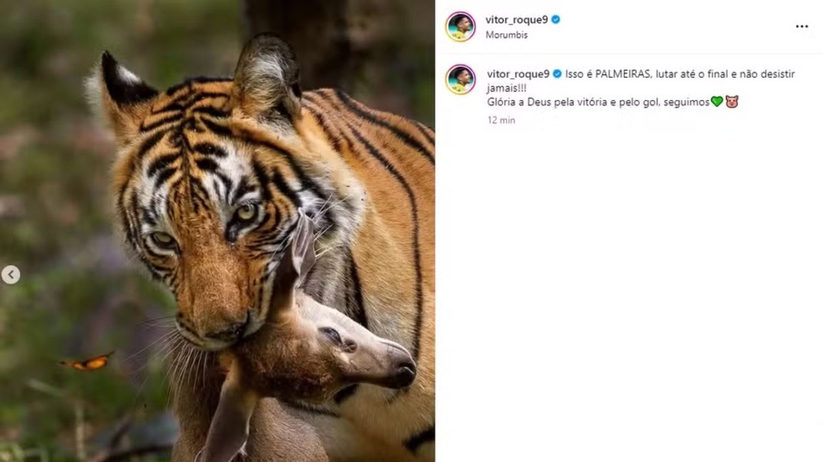 Vitor Roque faz provocação homofóbica e depois apaga Vitor Roque faz provocação homofóbica e depois apaga