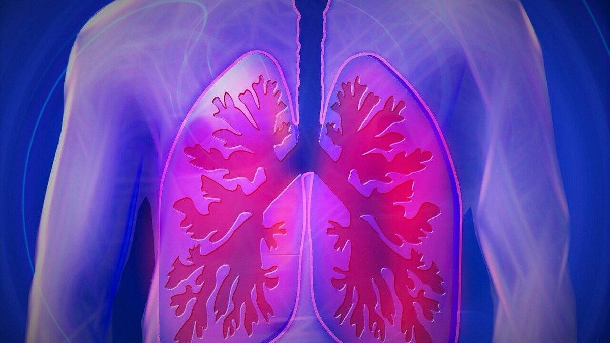 Casos de câncer de pulmão crescem 2% ao ano no mundo todo