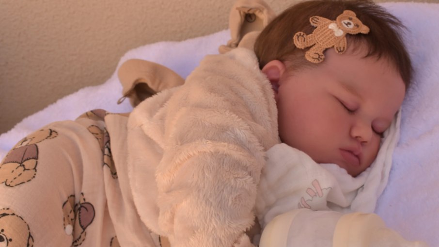 Bebês reborn se tornou febre entre colecionadores Bebês reborn se tornou febre entre colecionadores