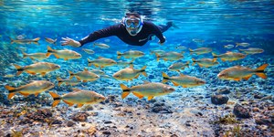 A partir de hoje: Bonito vai cobrar taxa de R$ 15 por pessoa/dia