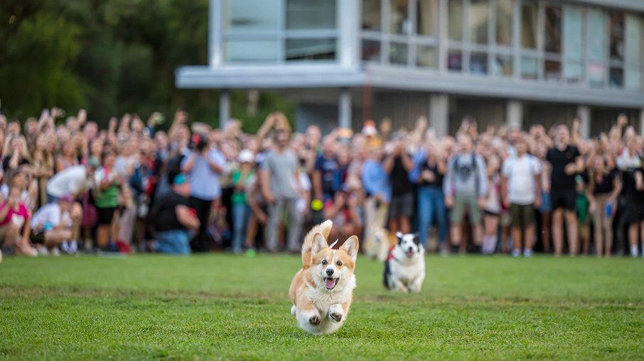 Corrida de Corgis reúne competidores fantasiados na Lituânia